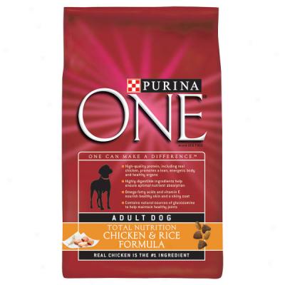 Purina One Chicken & Rice Dog Feed