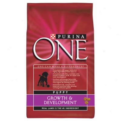 Purina One Well Puppy Formula