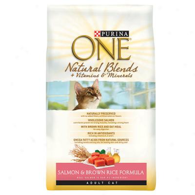 Purina One Natural Blennds Salmon & Brown Rice Formula