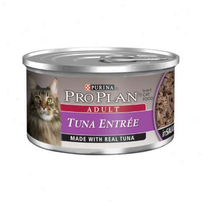 Purina Pro Plan Tuna Entre In Sauce Canned Adult Cat Food