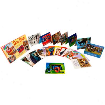 Rachael Hale Greeting Card Collections