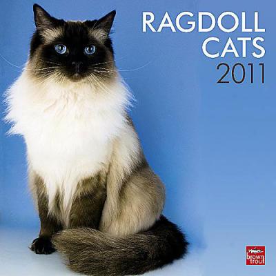 Ragdoll Cats 2011 Calendar