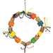 Rainbow Wheel Bird Toy