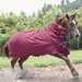 Rambo Quarter Horse Waterproof Blanket