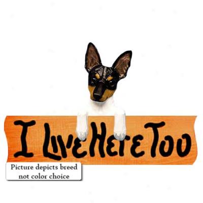 Rat Terrier I Live Here Too Maple Finish Sign Black And White
