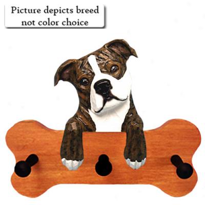 Red And White Staffordshire Bull Terrier Bone Hang Up Maple Finish