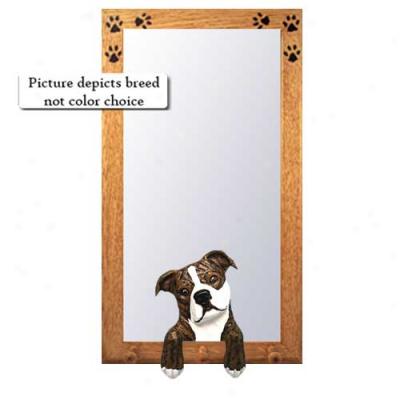 Red And White Staffordshire Bull Terrier Hall Mirror With Basswood Walnjt Frame