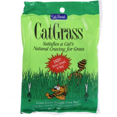 Redi Cat Grass