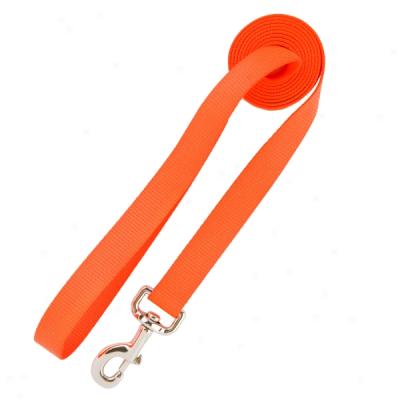 Remington Orange Nylon Safety Leash