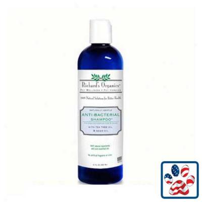 Richards Organics Antibacterial Shampoo 12oz