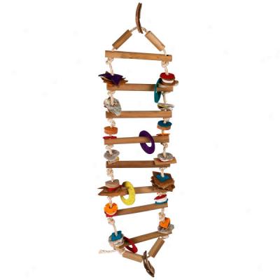 Rope Ladder Bird Toy