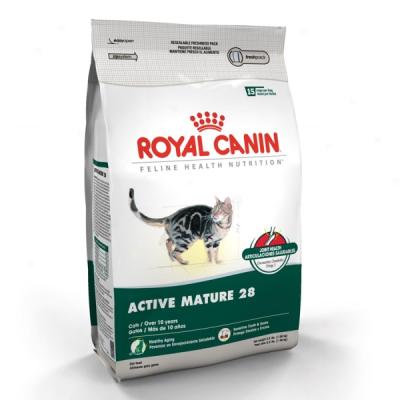 Royal Canin Active Matur e28 Formula Cat Food
