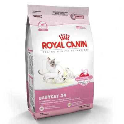 Royal Canin Babycat 34 Formula Cat Food