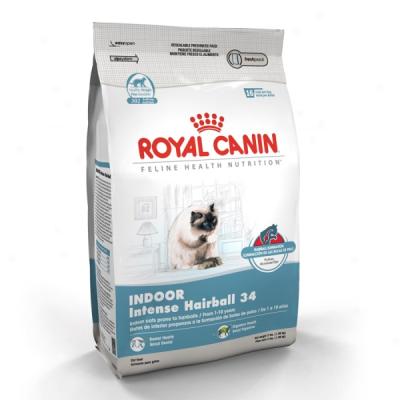 Magnificent Canin Intense Hairball 34 Cat Food