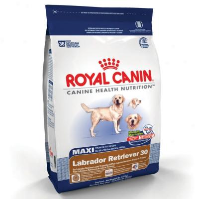 Royal Canin Maxi Lsbrador Retriever 30 Formula Dog Feed