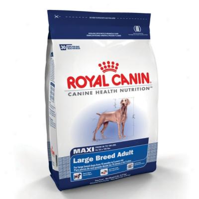 Royal Canim Maxi Large Breed Mature 26 Formula