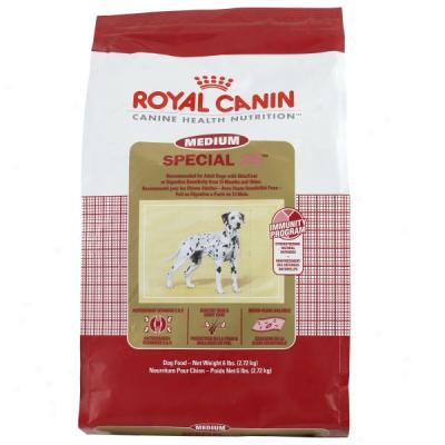 Royal Canin Medium Special 25 Formula Dog Food