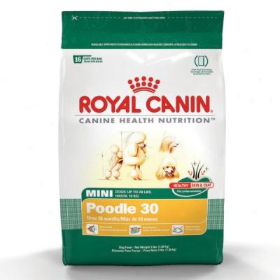 Royal Canin Mini Poodle 30 Dog Food