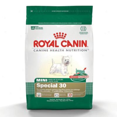 Royal Canin Mini Special 30 Formula Dog Food