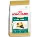 Royal Canin® Maine Coon 31(tm) Cat Food