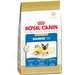 Royal Canin® Siamese 38(tm) Cat Food