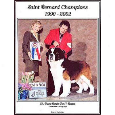 Saint Bernard Champions, 1990-2002