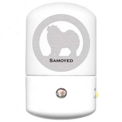 Samoyed Led Night Light