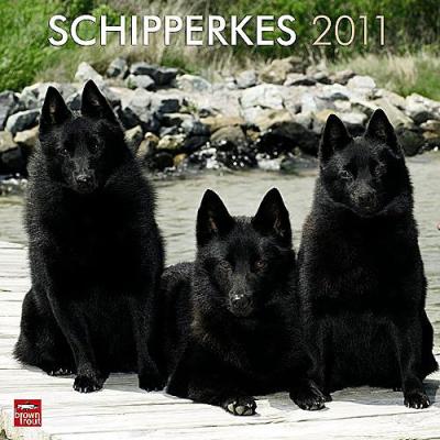 Schipperke 2011 Calendar