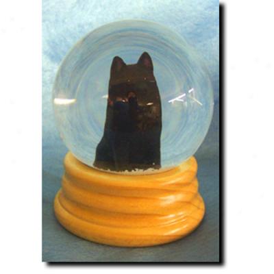 Schipperke Musical Snow Globe