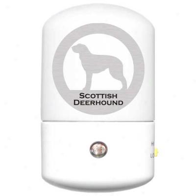 Scottish Deerhound Led Night Light