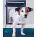 Screened Pet Door By Petsafe