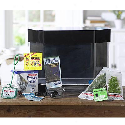 Seaclear 10 Gallon Flat Back Hexagon Aquarium Starter Kit