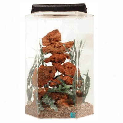 Seaclear 15 Gallon Hexagon Tanks