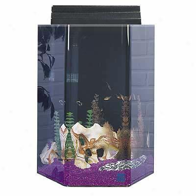 Seaclear 20 Gallon Hexwgon Junior Executive Aquarium Kits