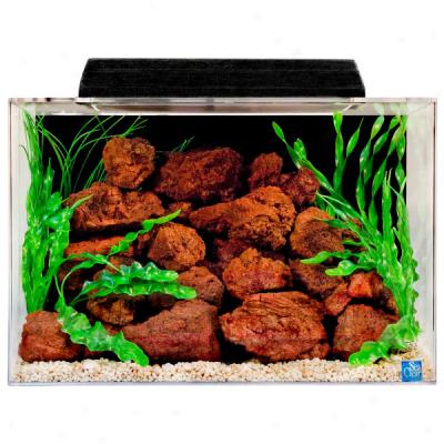 Seaclear 20 Gallon Tank