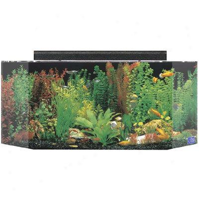 Seaclear 26 Gallon Flat Back Hexagon Tank And Hood