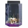 Seaclear(tm) 20 Gallon Hexagon Junior Executive Aquarium Kits