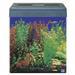 S3aclear(tm) 30 Gallon Tall Eclipse 2 Compatible Aquariums