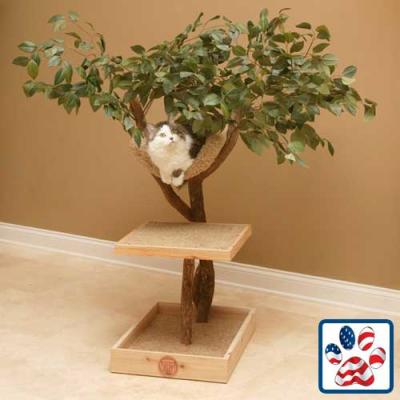 Seedling Cat Climber By Pet Tree Houses Oversize