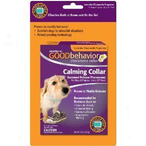 Sentry Hc Good Behavior Pheromone Collar For Cats