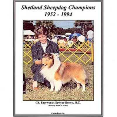 Shetland Sheepdog Champions, 1952-1994