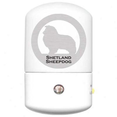 Shetland Sheepdog Led Night Light