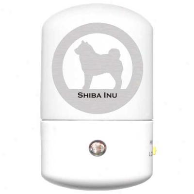 Shiba Inu Led Night Light