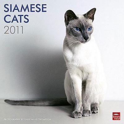 Siamese Cats 2011 Calendar