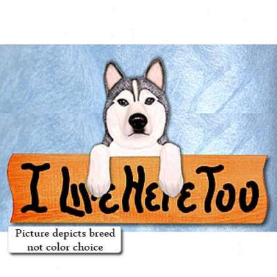 Siberian Husky I Live Here Overmuch Oak Perfect Sign Red And White