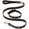 Silver Heart Sudded Collar & Leash