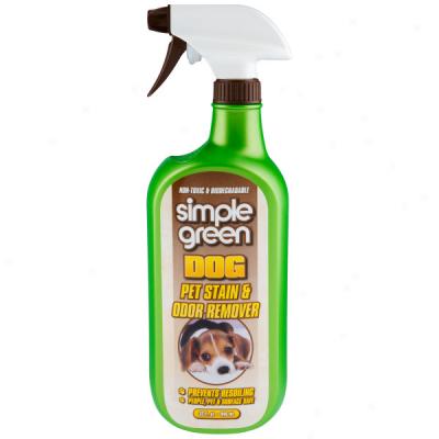 Simple Green Dog Stain & Odor Remover