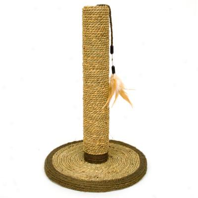 Sisal Kitty Scratching Post With Feather Toy