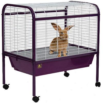 Small Animal Cage In c~tinuance Stand