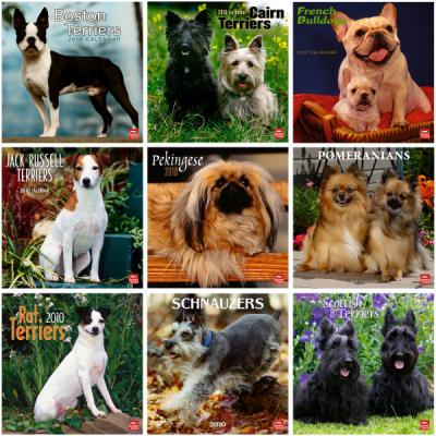 Small Breed Dogs 2010 Wall Calendars